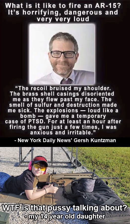 AR-15-pussy.jpg
