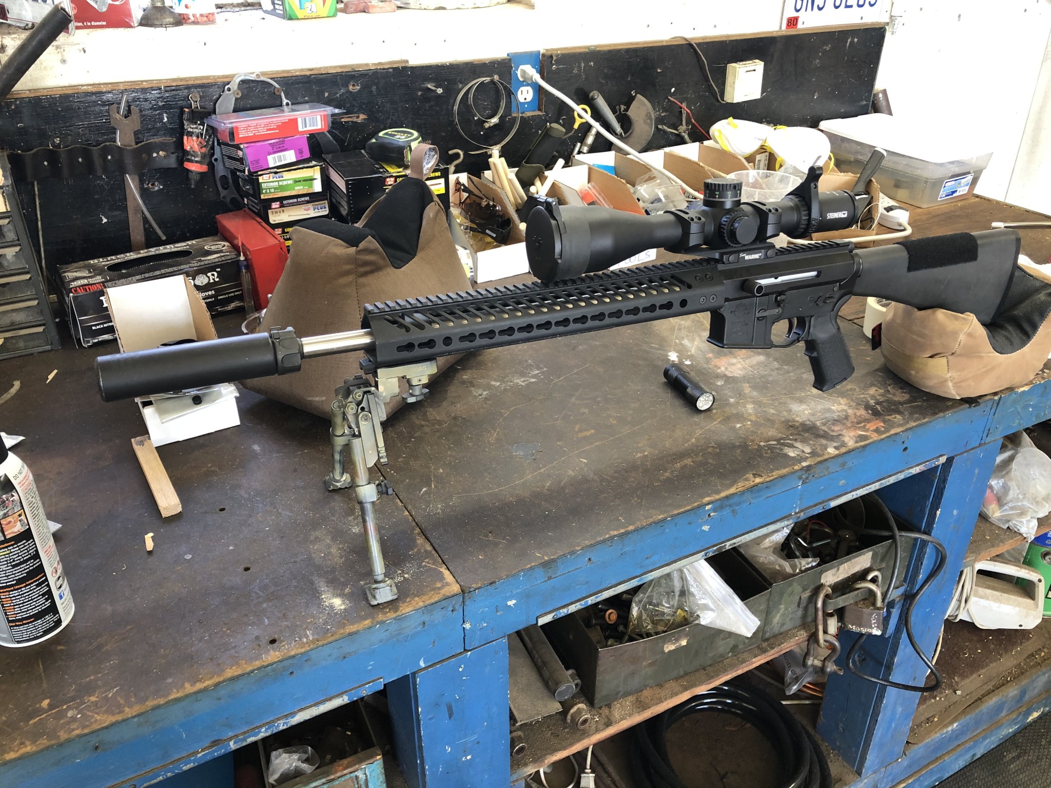 AR Coyote2.jpg