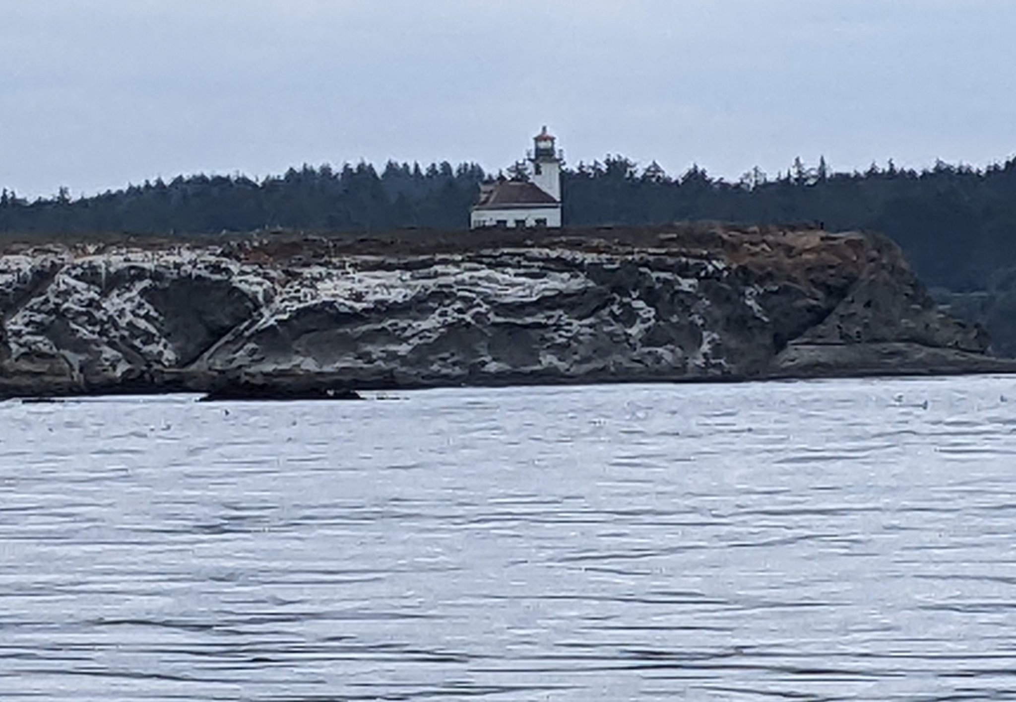 Arago Lighthouse.jpg