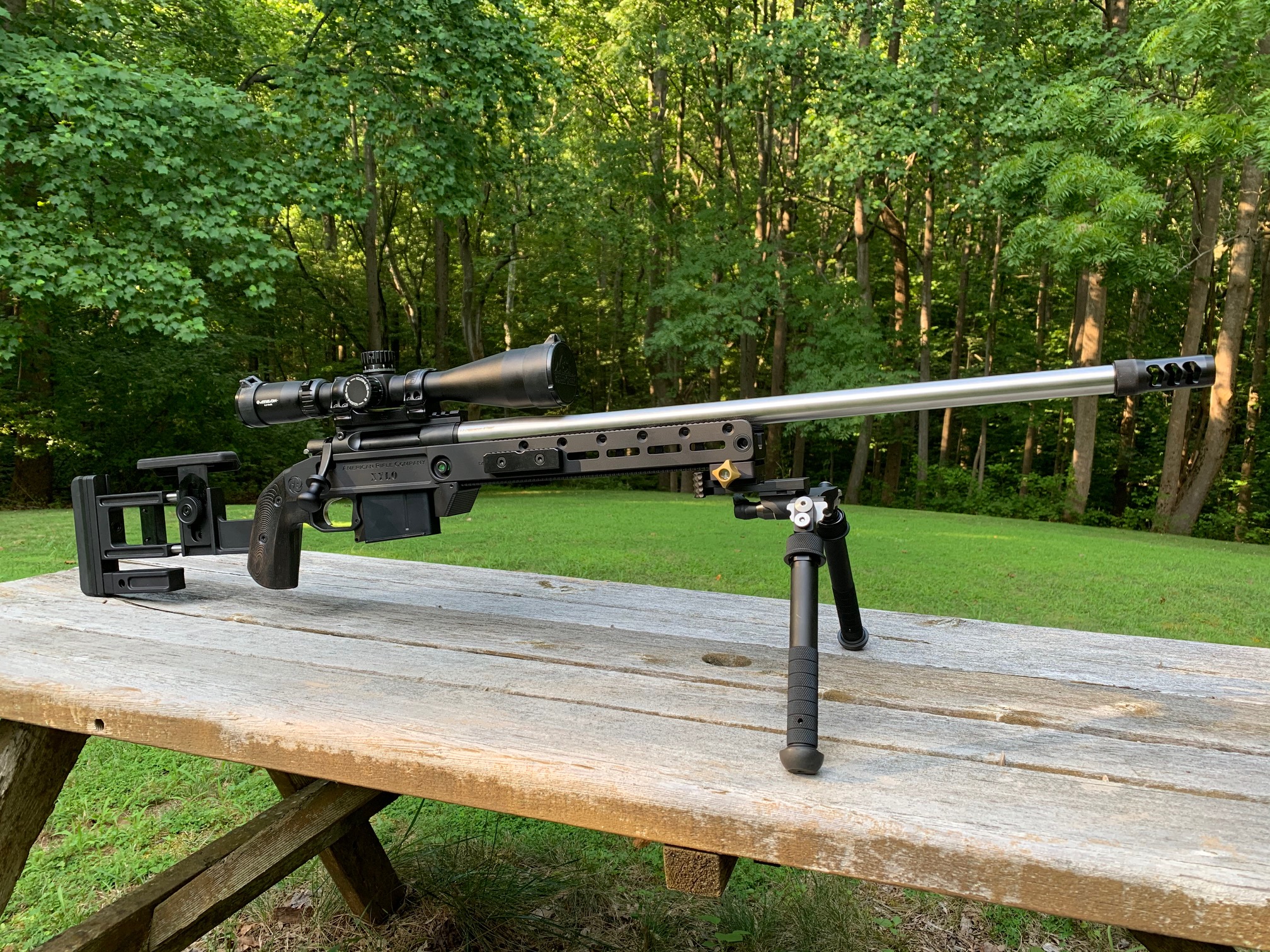 ARC Independance day rifle 1.jpg