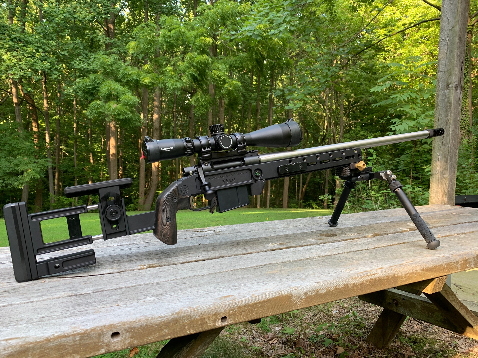 ARC Independance day rifle 2.jpg