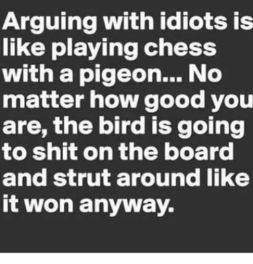 arguing-with-idiots-is-like-playing-chess-with-a-pigeon-3505630.png