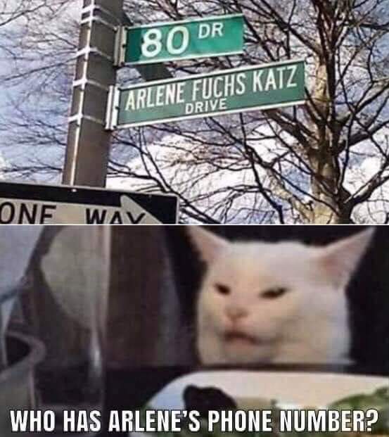 arlene.jpg