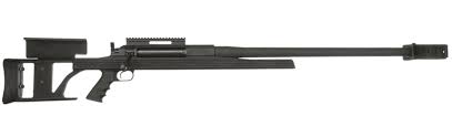 armalite ar50.jpg
