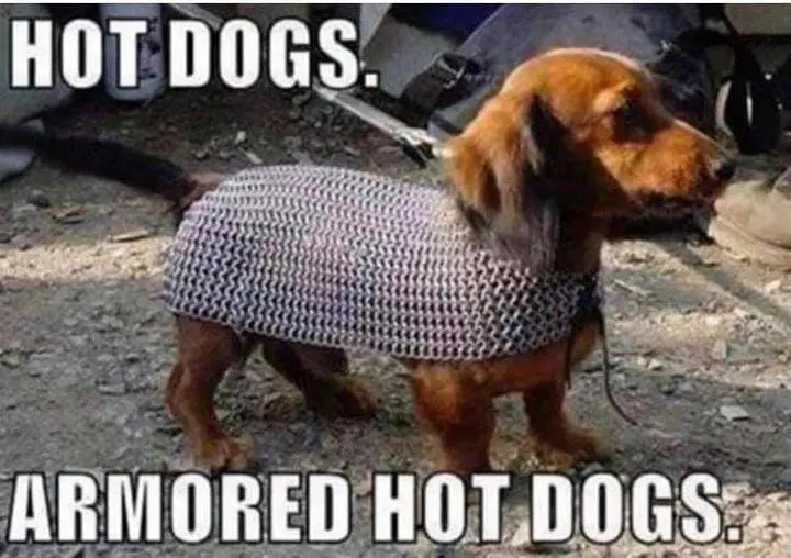 armored hot dogs.png