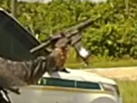 arpistoltx.png