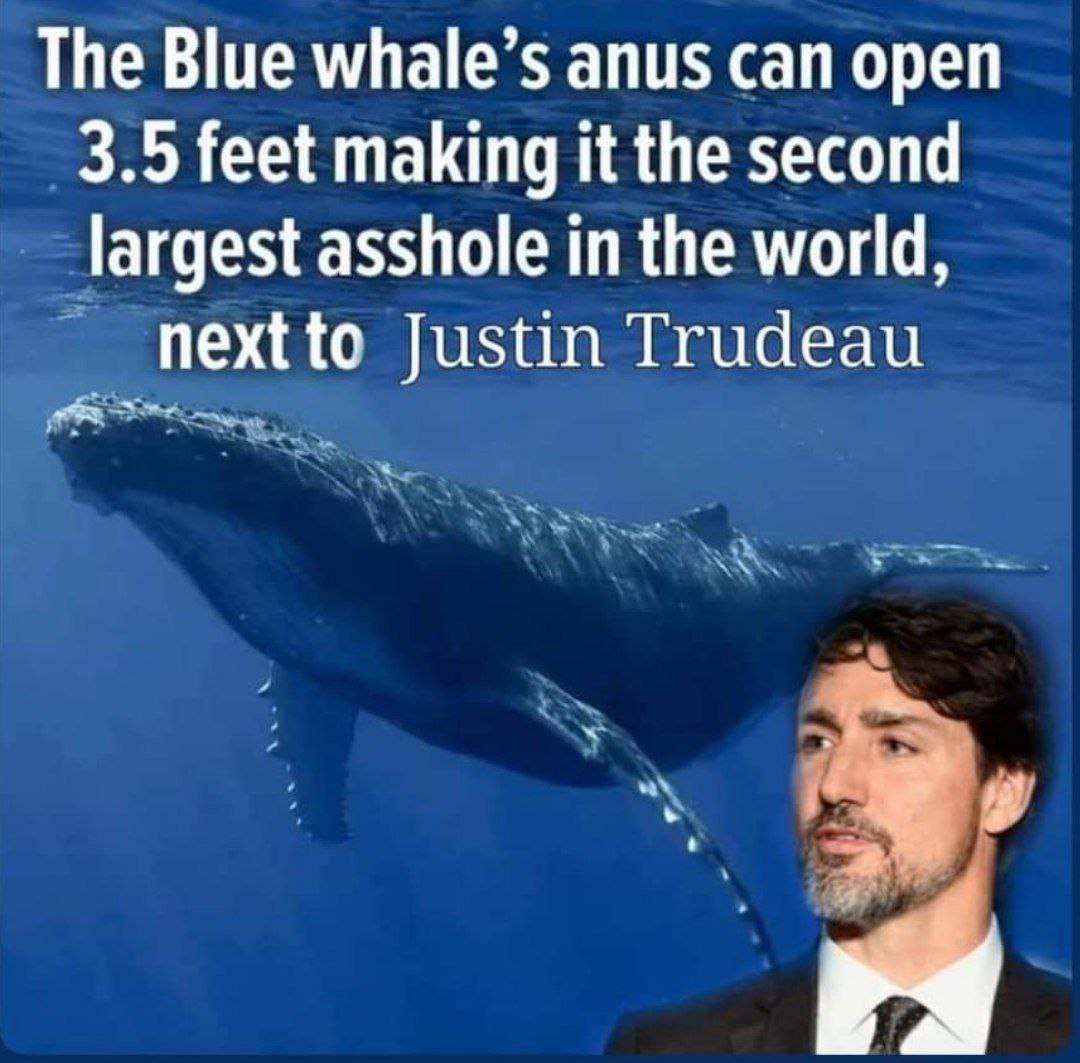 asshole.jpg