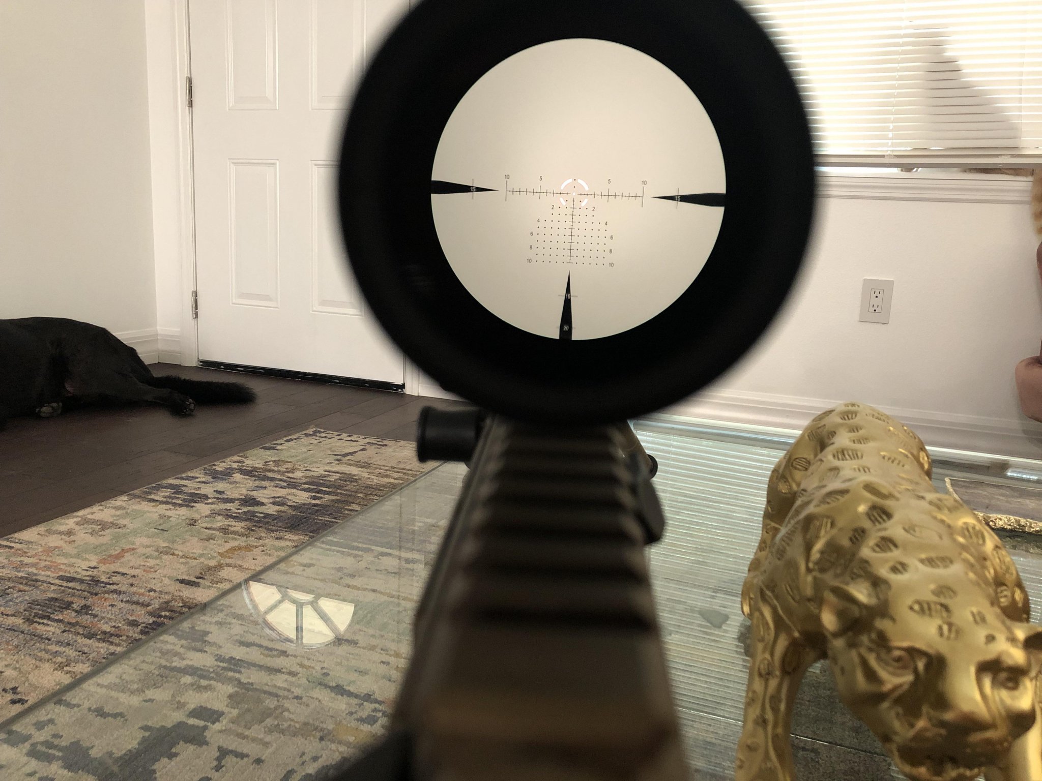 atacr.jpg