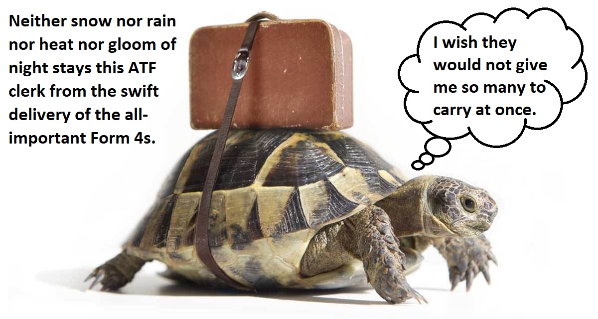 ATF Turtle.jpg