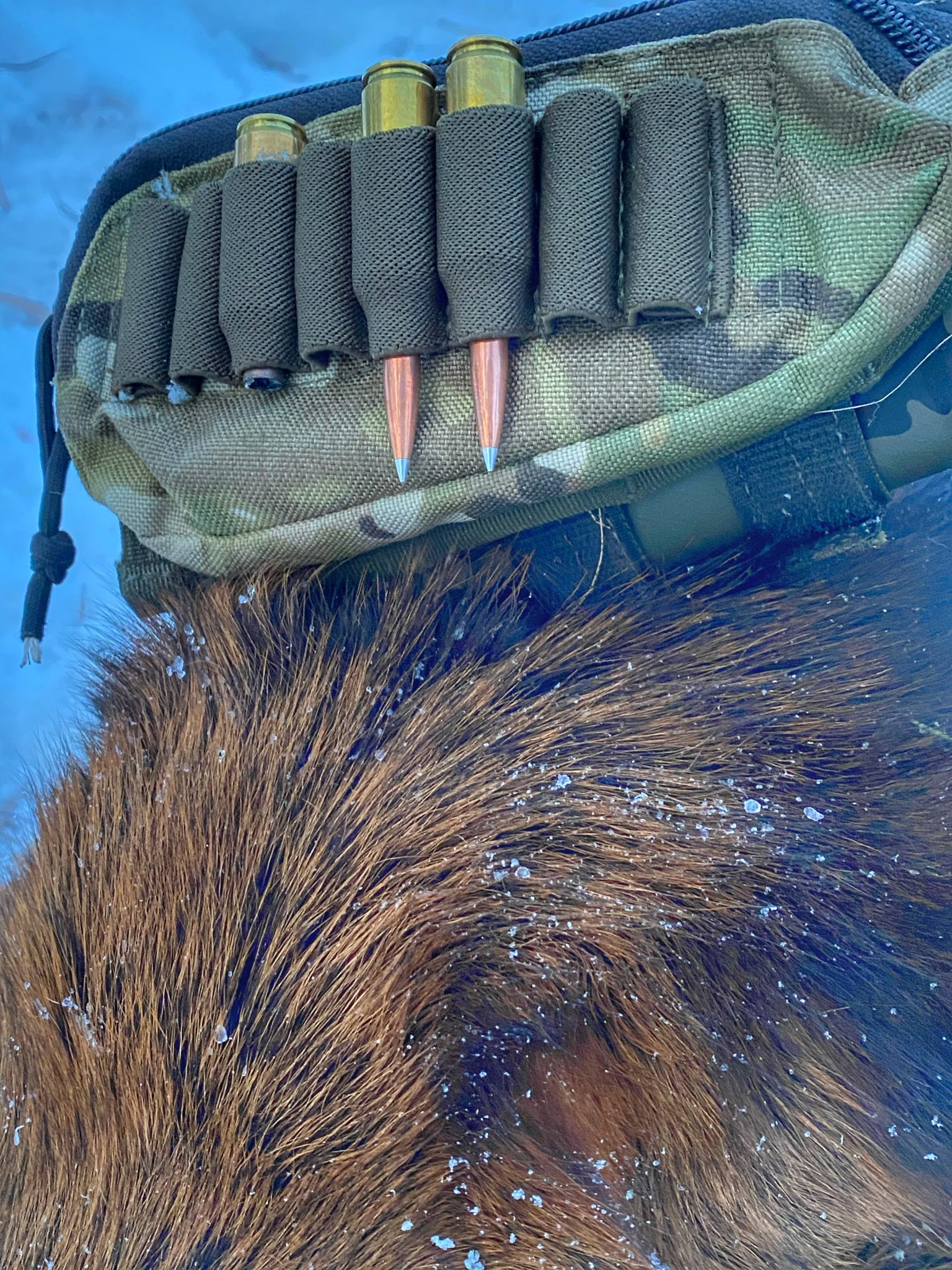 Atips 2020 elk.jpg