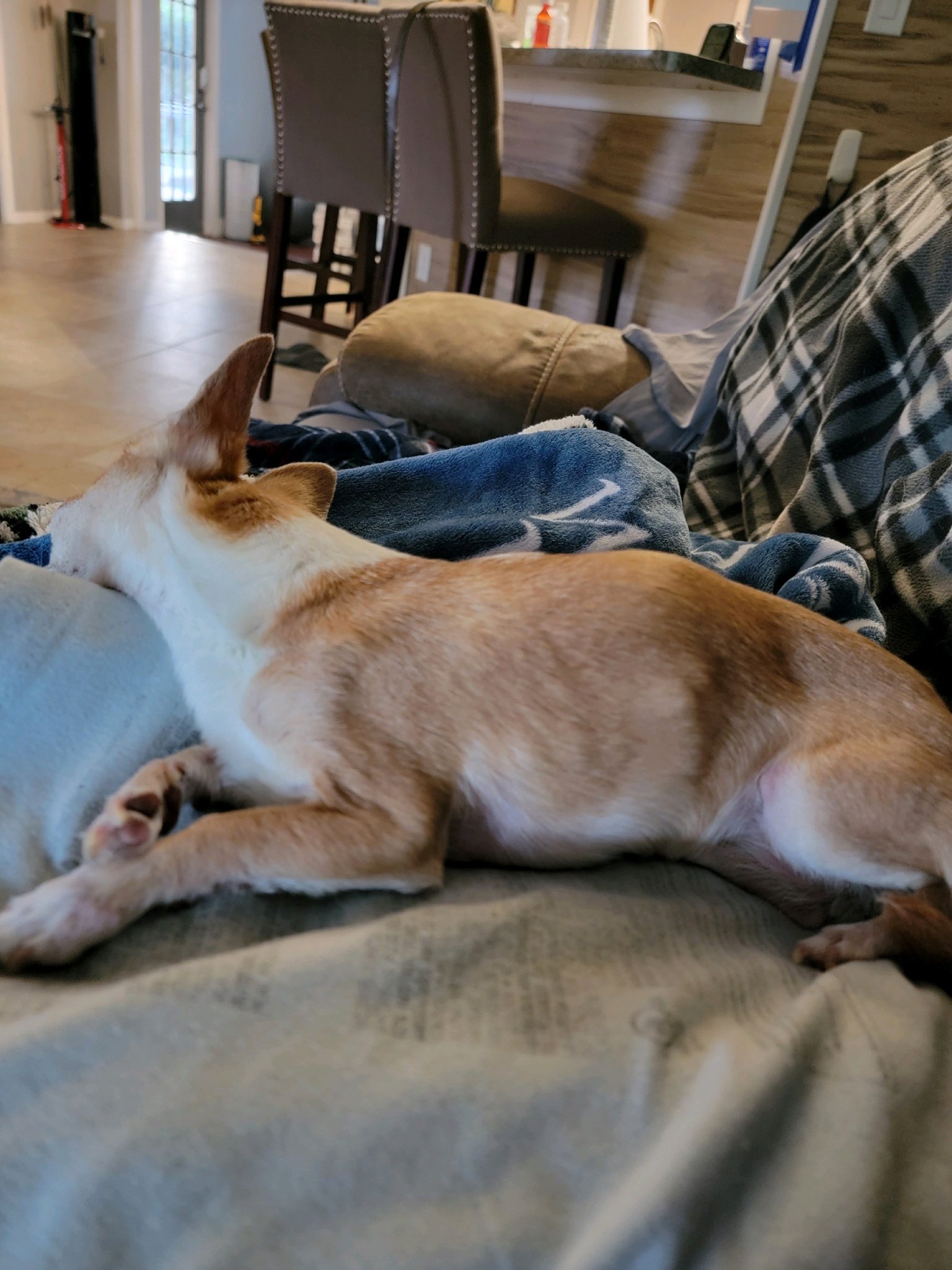 Attachment.JPG