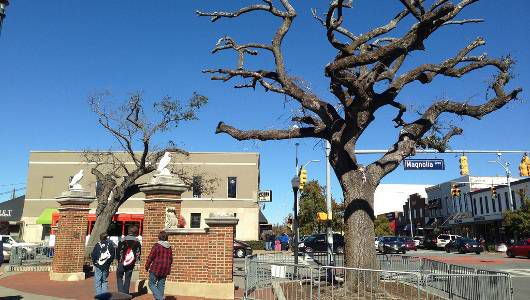 auburn oaks.jpg.653x0_q80_crop-smart.jpg
