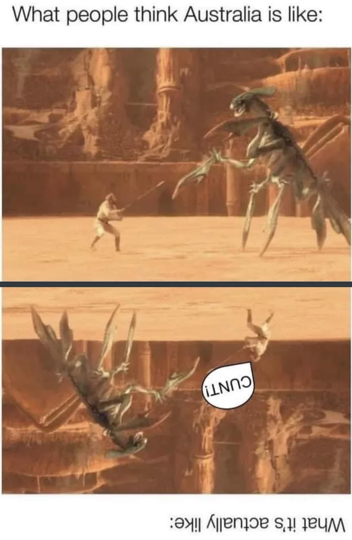 aus.png