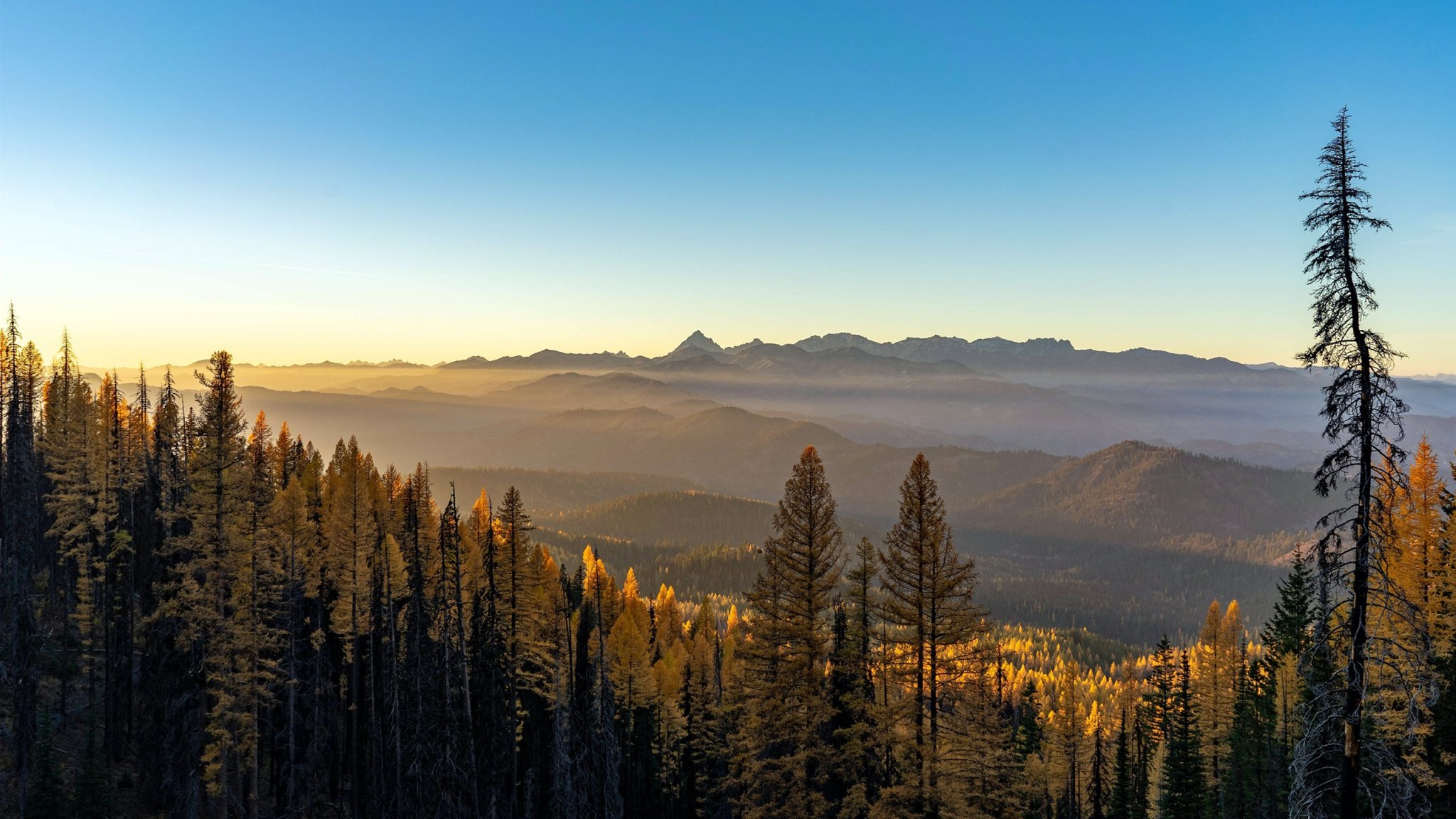 Autumn_trees_hills_fog_2020_Landscape_HD_Photo_2560x1440.jpeg