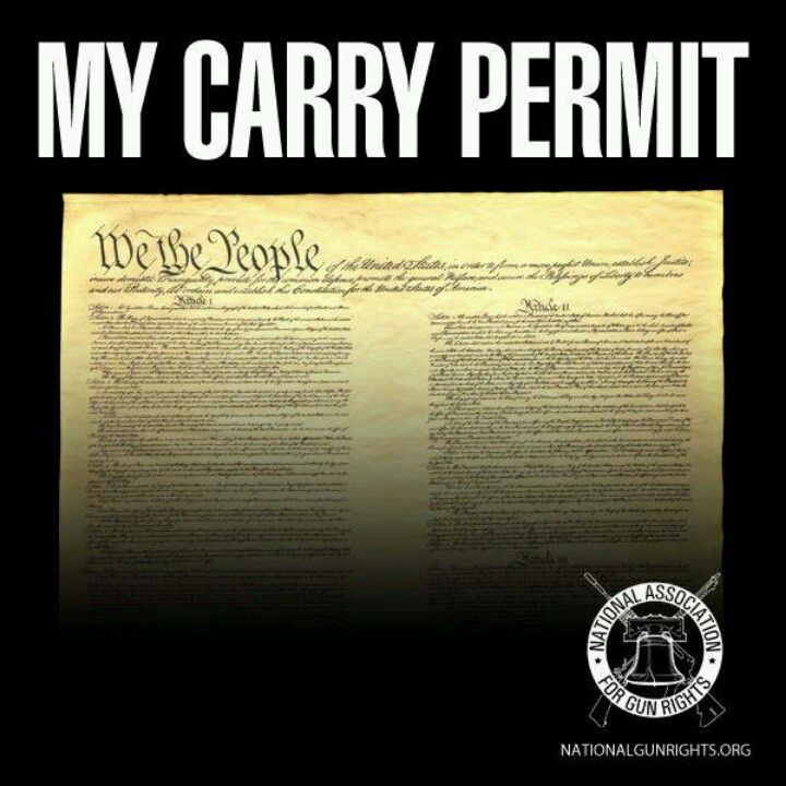 awesome-second-amendment-meme-350-best-2nd-amendment-and-military-images-on-pinterest.jpg