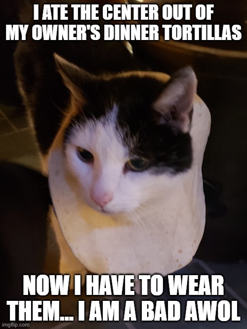 awol burrito 2.jpg