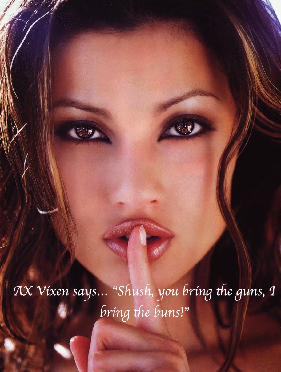 AX Vixen2.jpg
