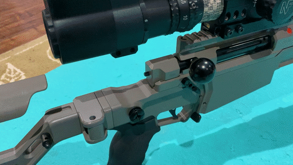 axsr sear.gif
