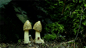 b.gif