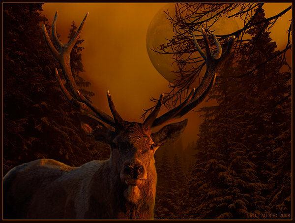 B069F13F-9442-4525-B8B0-1ACAEB5A4595.png