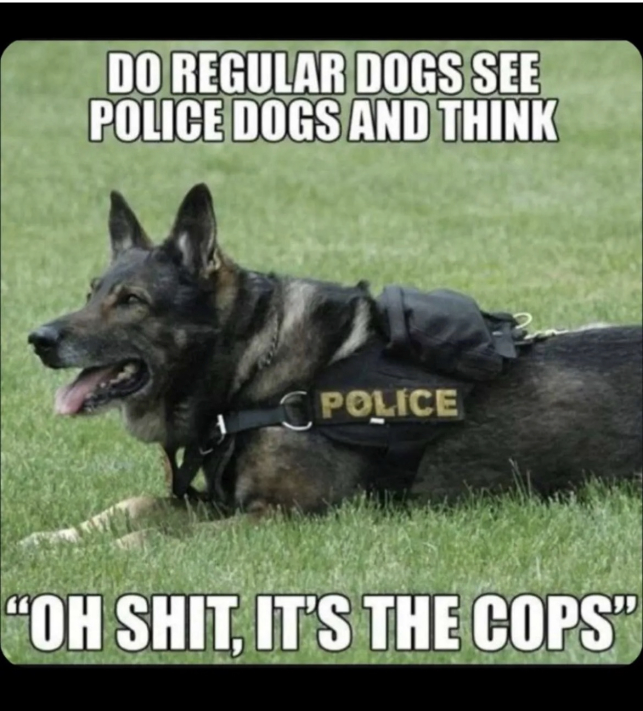 B070AB4E-47F0-42D1-B98F-5535F6583B04.jpeg
