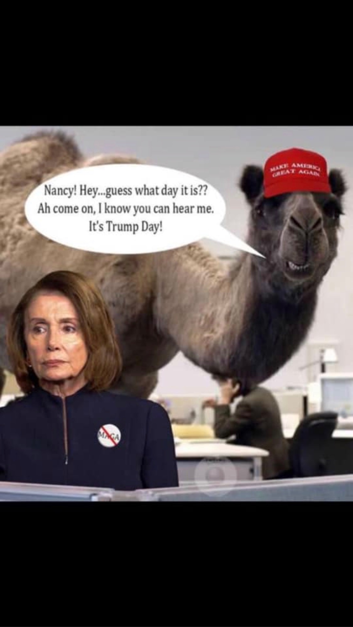 B0DDB58E-7289-4E6A-9042-732A27C0C42E.jpeg