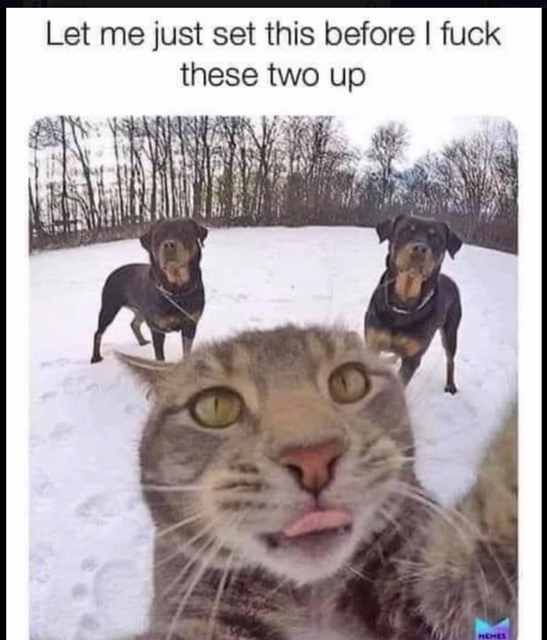B0ECA0B0-1CE1-4FC9-8A4C-17448B338988.jpeg