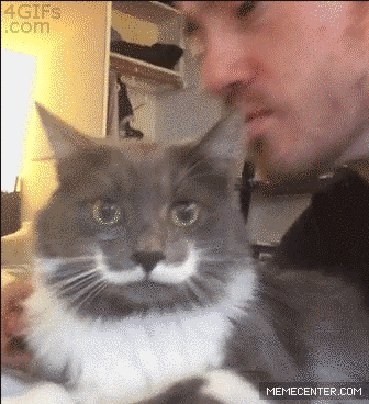 B1664433-4FEF-4D27-96AC-A3E1C9A5F41E.gif