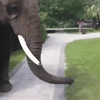 B2E57AB0-4D91-470E-BC69-C24CCF7B9052.gif