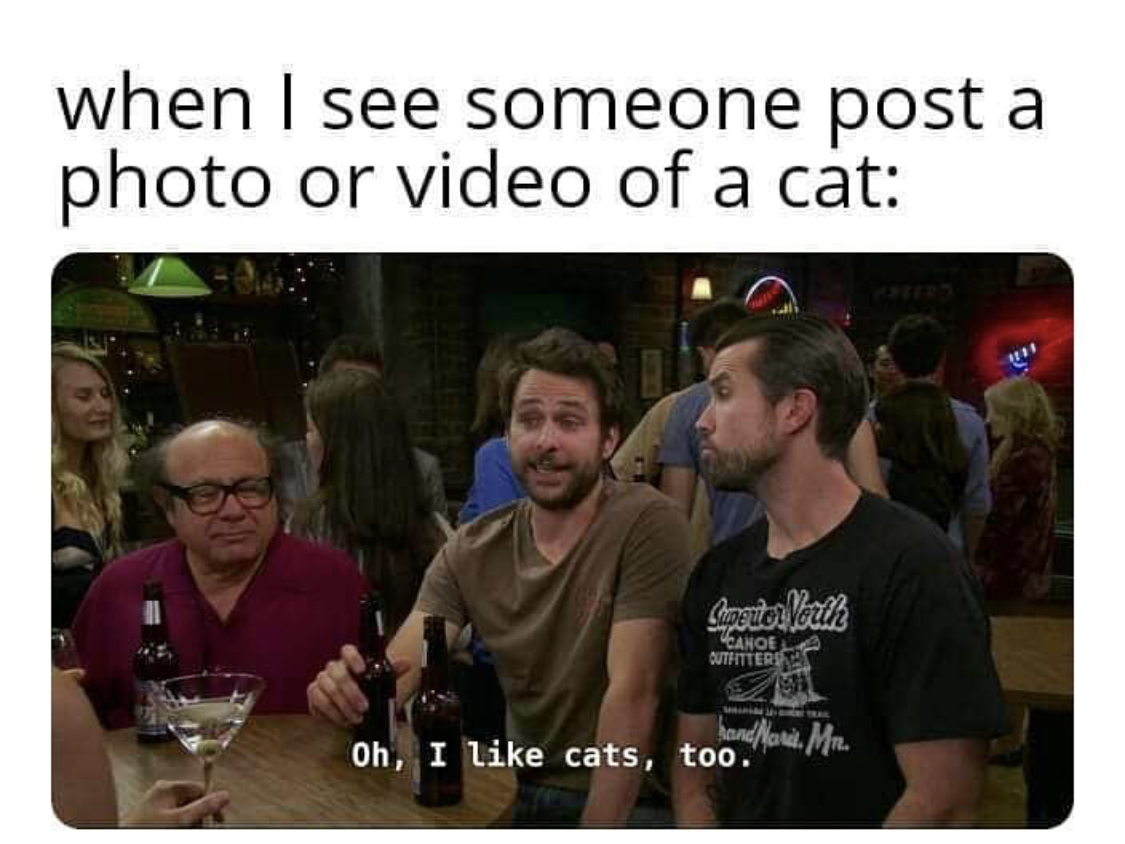 B3299581-E3C0-42EC-9896-D405C868B2C1.jpeg