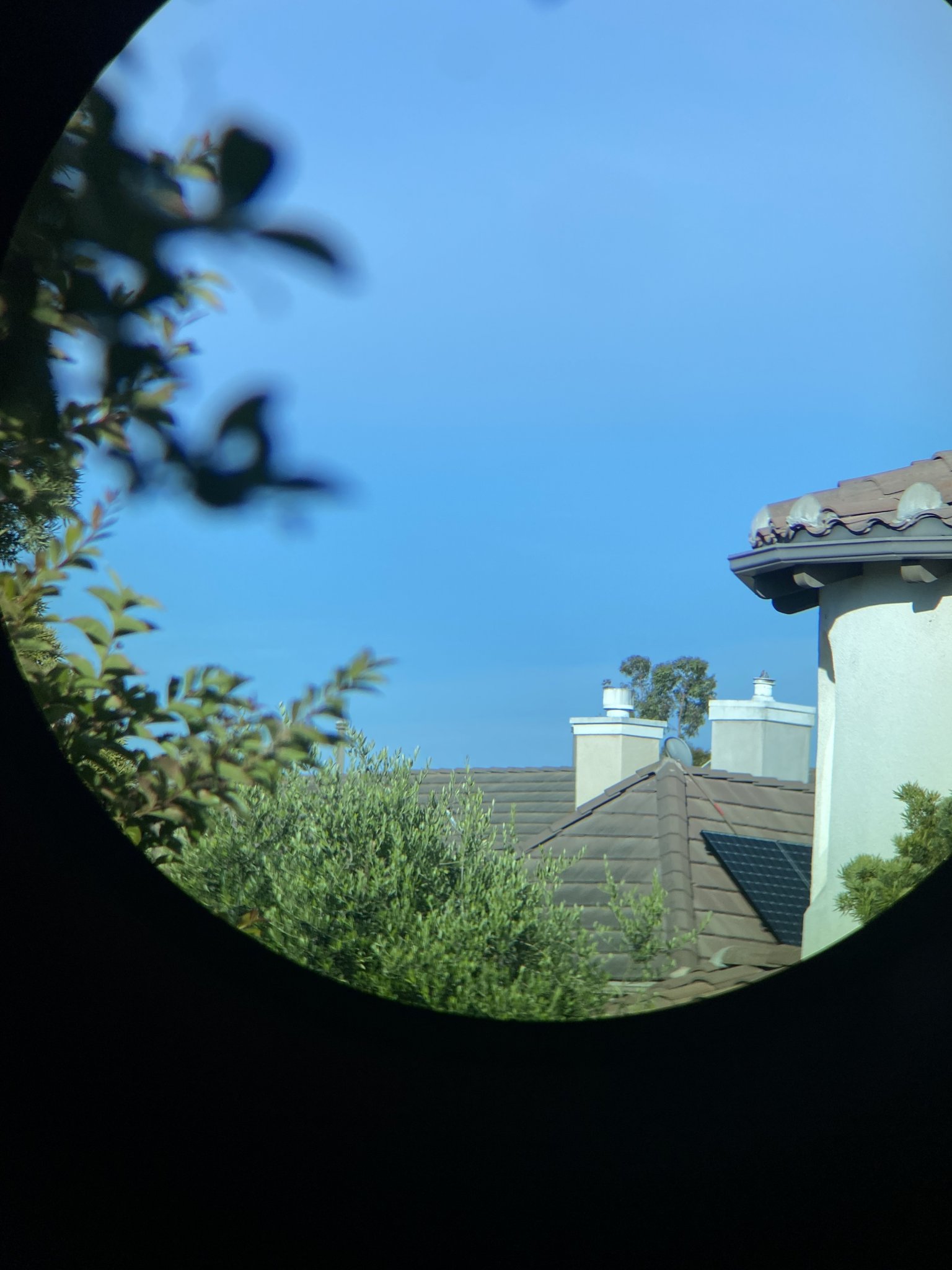 B36BAEFE-EF78-4B3A-9F3E-45AE7B180816.jpeg