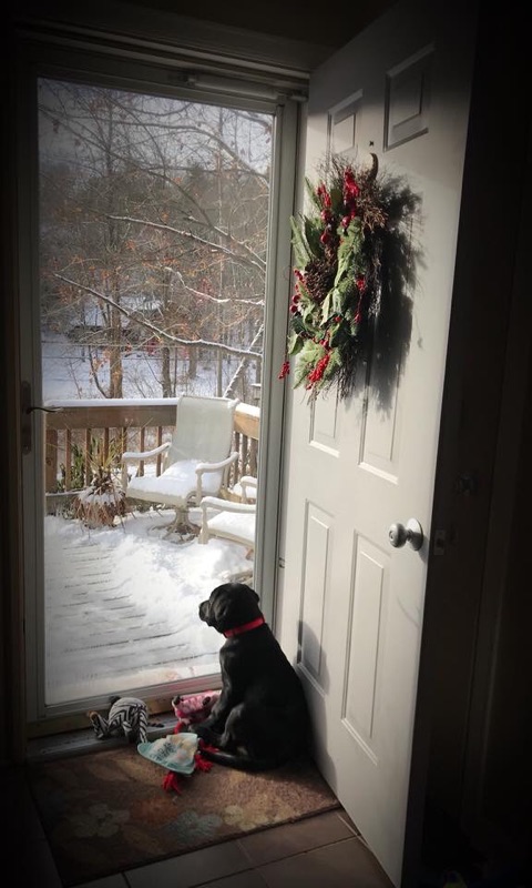 B3829CAE-7607-4ED6-AD7E-97ED073863CA.jpeg