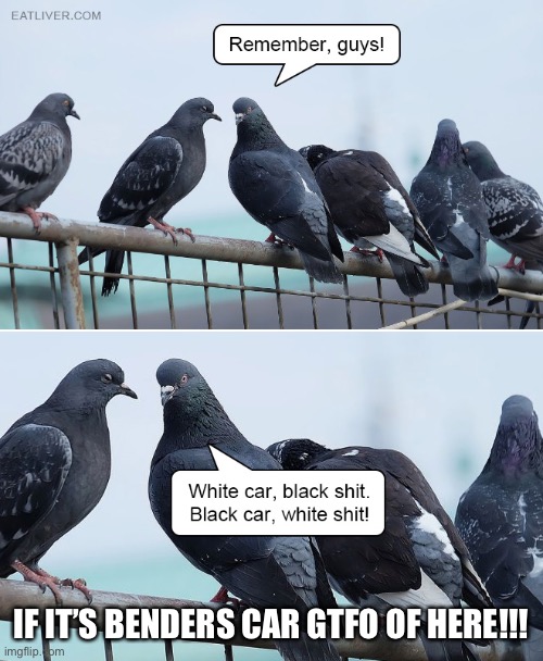 B40E5785-0BE6-462A-8F52-F9FA775924A9.jpeg