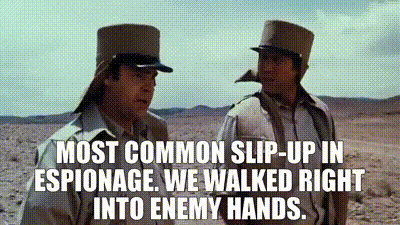 b43a4622-204d-47ff-8d47-c0a1d3d0d566_text.gif