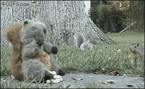 B481EF9D-535B-41C9-AED8-B8140D5AD0AB.gif
