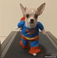 B5ADF305-50DA-4D5A-98C4-E3D77BA618EF.gif