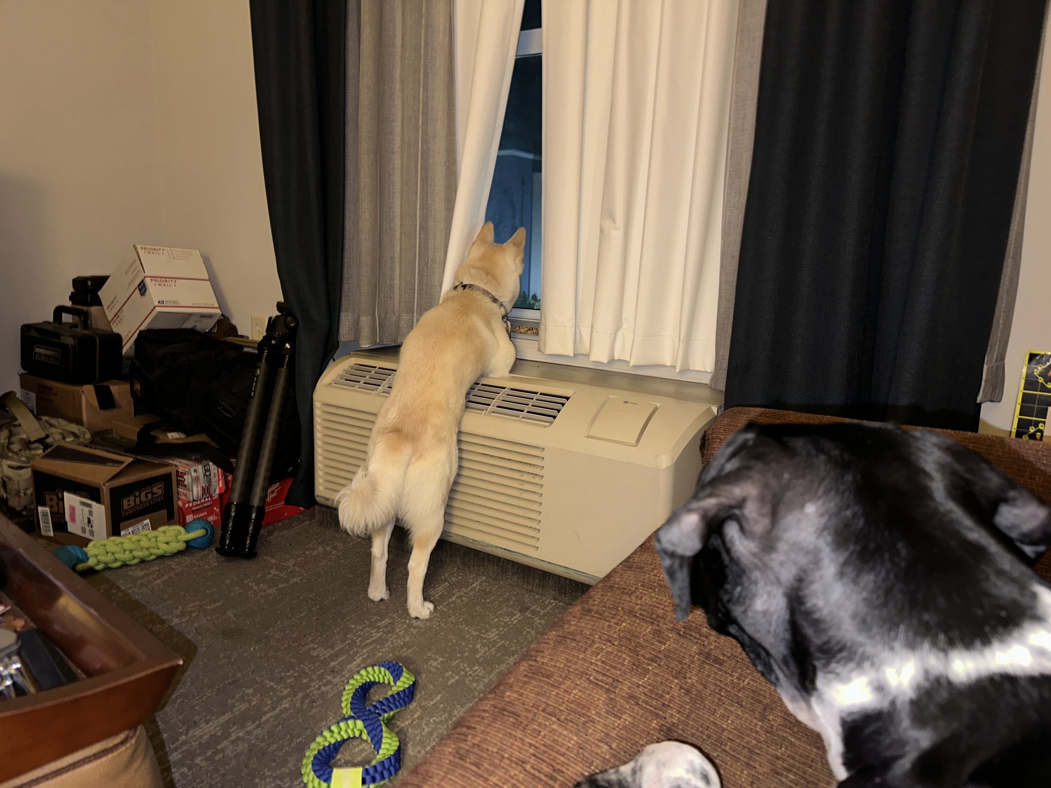B60F53D7-51DC-405D-A12B-C64021B2B1D3.jpeg