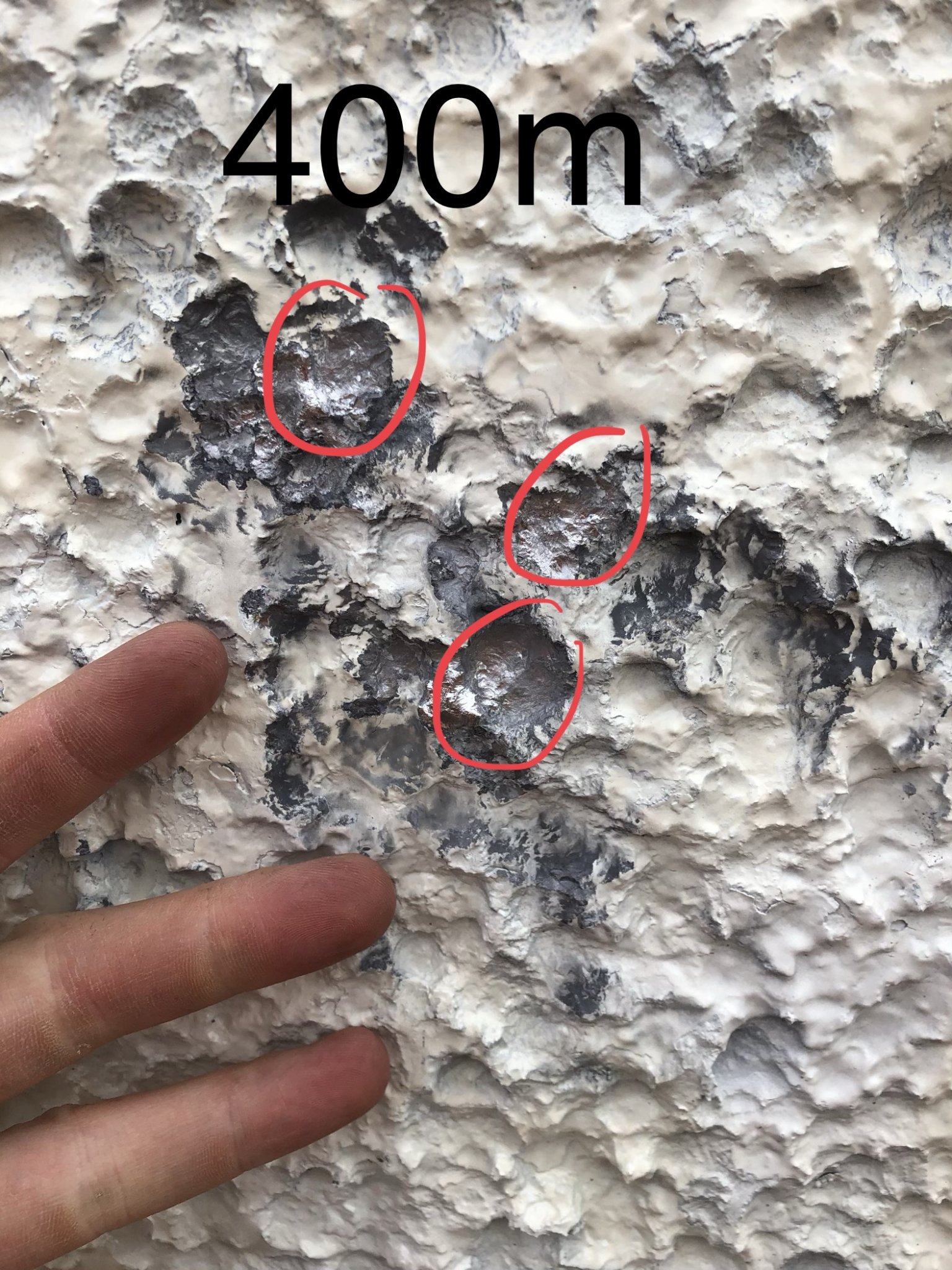 B638F970-4259-4064-8FA7-FC615C01D347.jpeg
