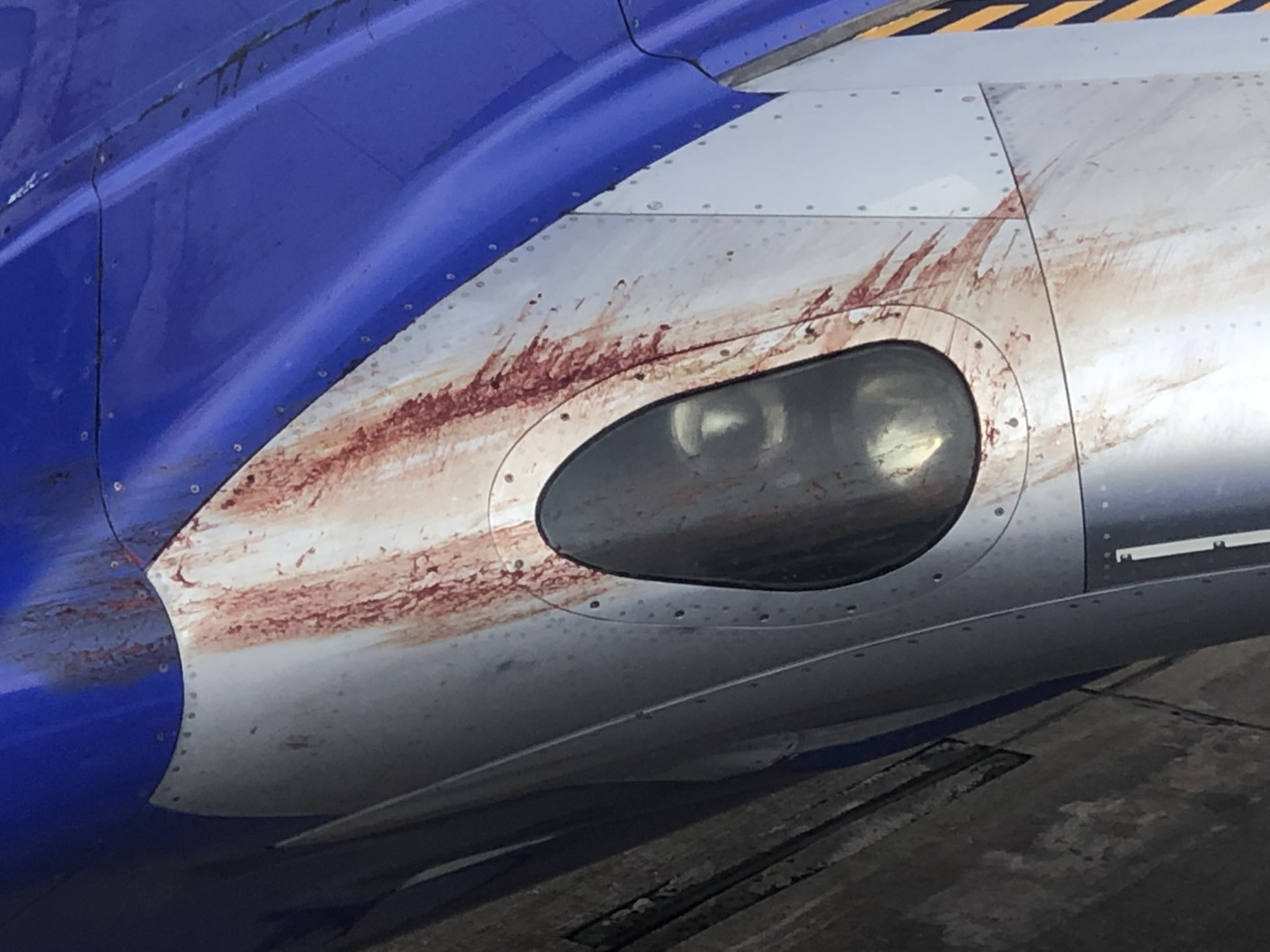 B74787F6-F739-469B-9D13-BE8A2049CA19.jpeg