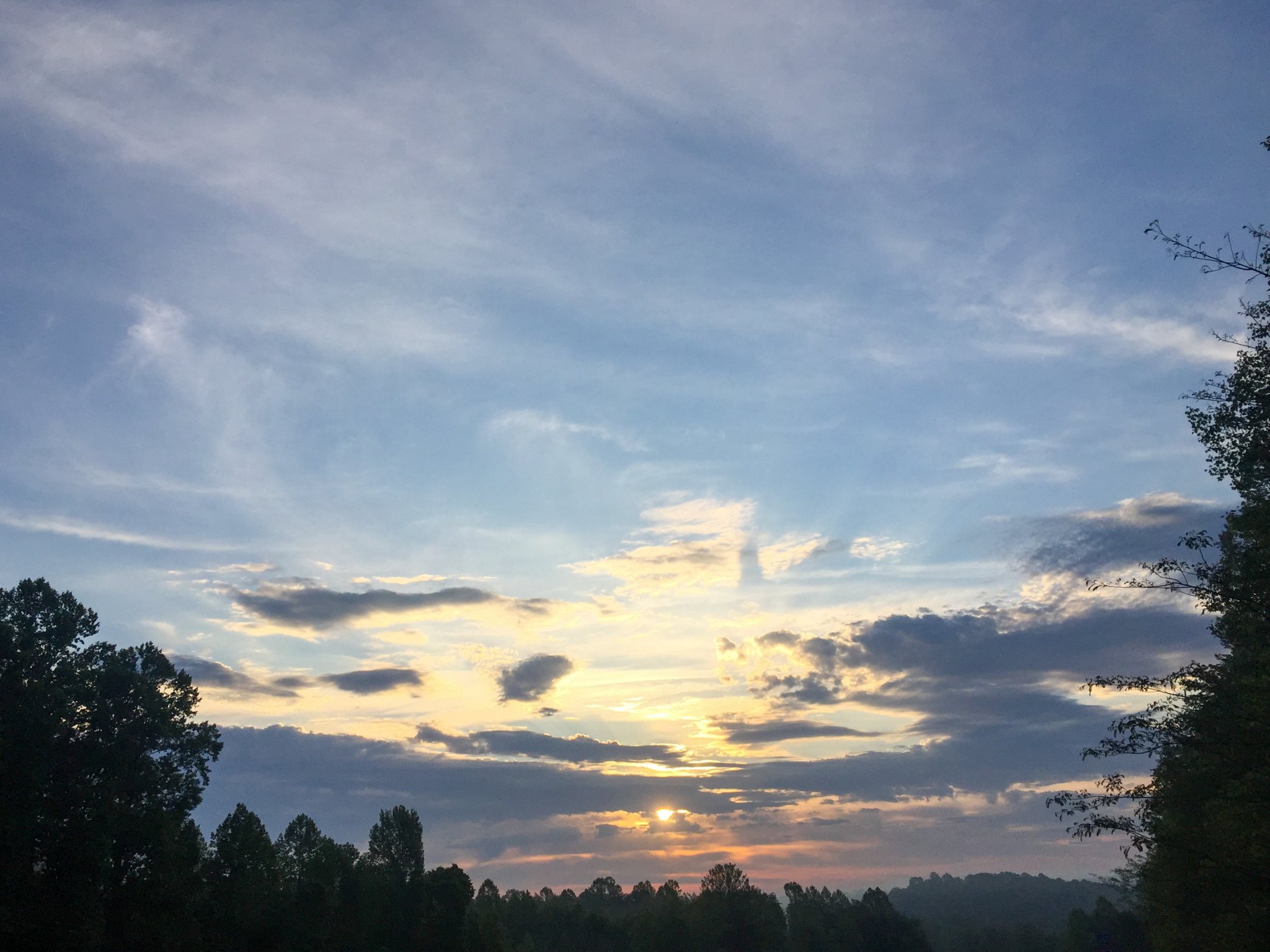 B7D71F81-9EF3-4D91-BC0A-4E1846C997FD.jpeg