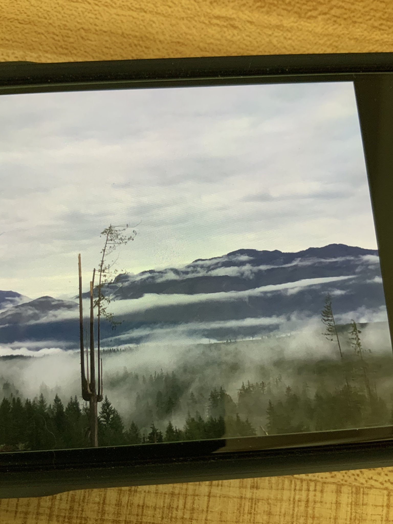 B7E499FC-8B16-4CBB-84D4-5FD950264AEF.jpeg
