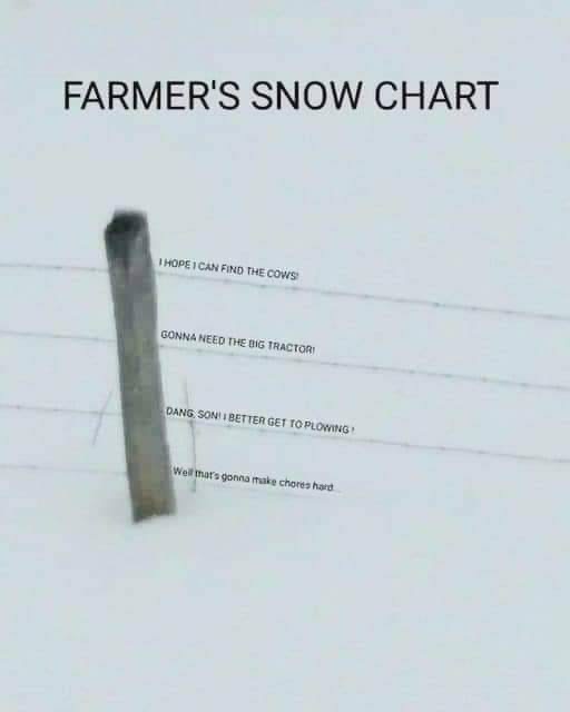 B984755E-2C6F-4AC2-BCAB-C995E2C66933.jpeg