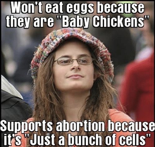 baby-chickens.jpg