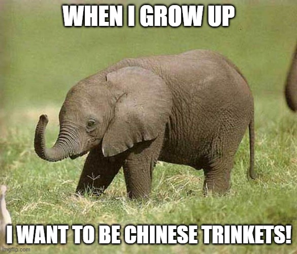 baby elephant.jpg