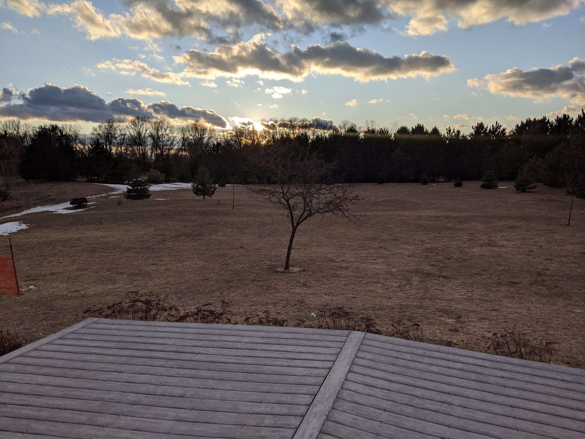 Backyard.jpg