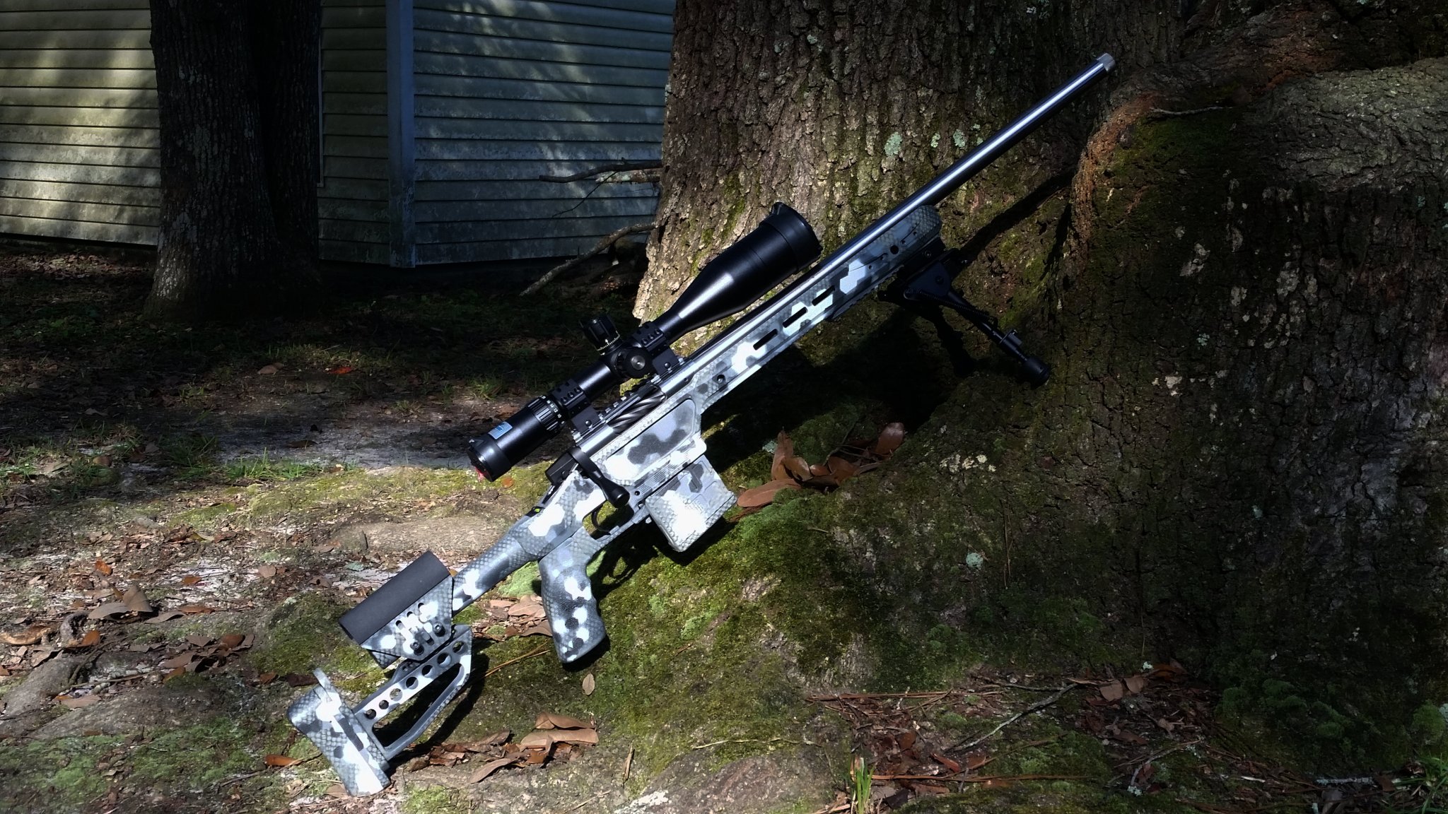 Backyard Pic.jpg