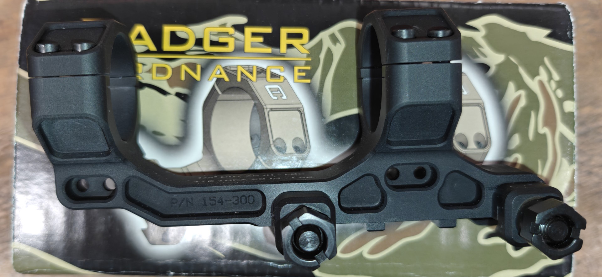 badger2.jpg