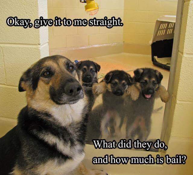 bail.jpg