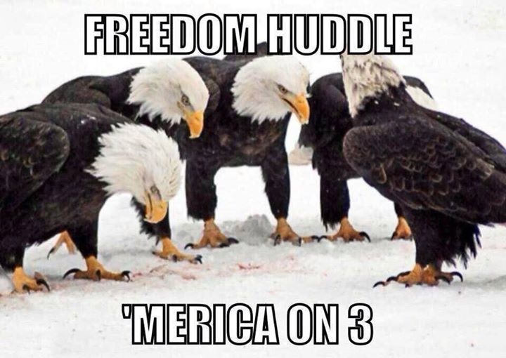 BaldEaglesFreedomHuddle.jpg