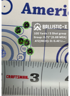 Ballistic-X-Export-2020-04-17 14_00_56.551842.PNG